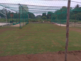 Turf with net